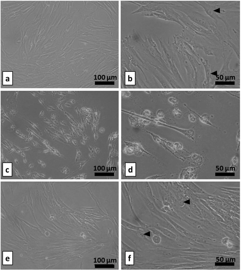 Coatings 03 00268 g011 1024