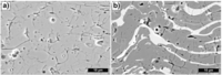 Coatings 04 00018 g005 200