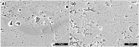 Coatings 04 00018 g007 200