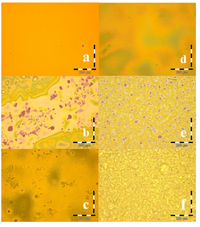 Coatings 04 00060 g008 200