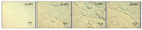 Coatings 04 00060 g009 200