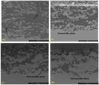 Coatings 04 00231 g011 200