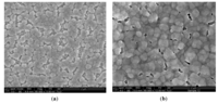 Coatings 04 00282 g007 200