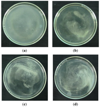 Coatings 04 00320 g004 200