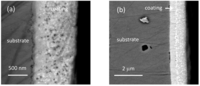 Coatings 04 00329 g005 200