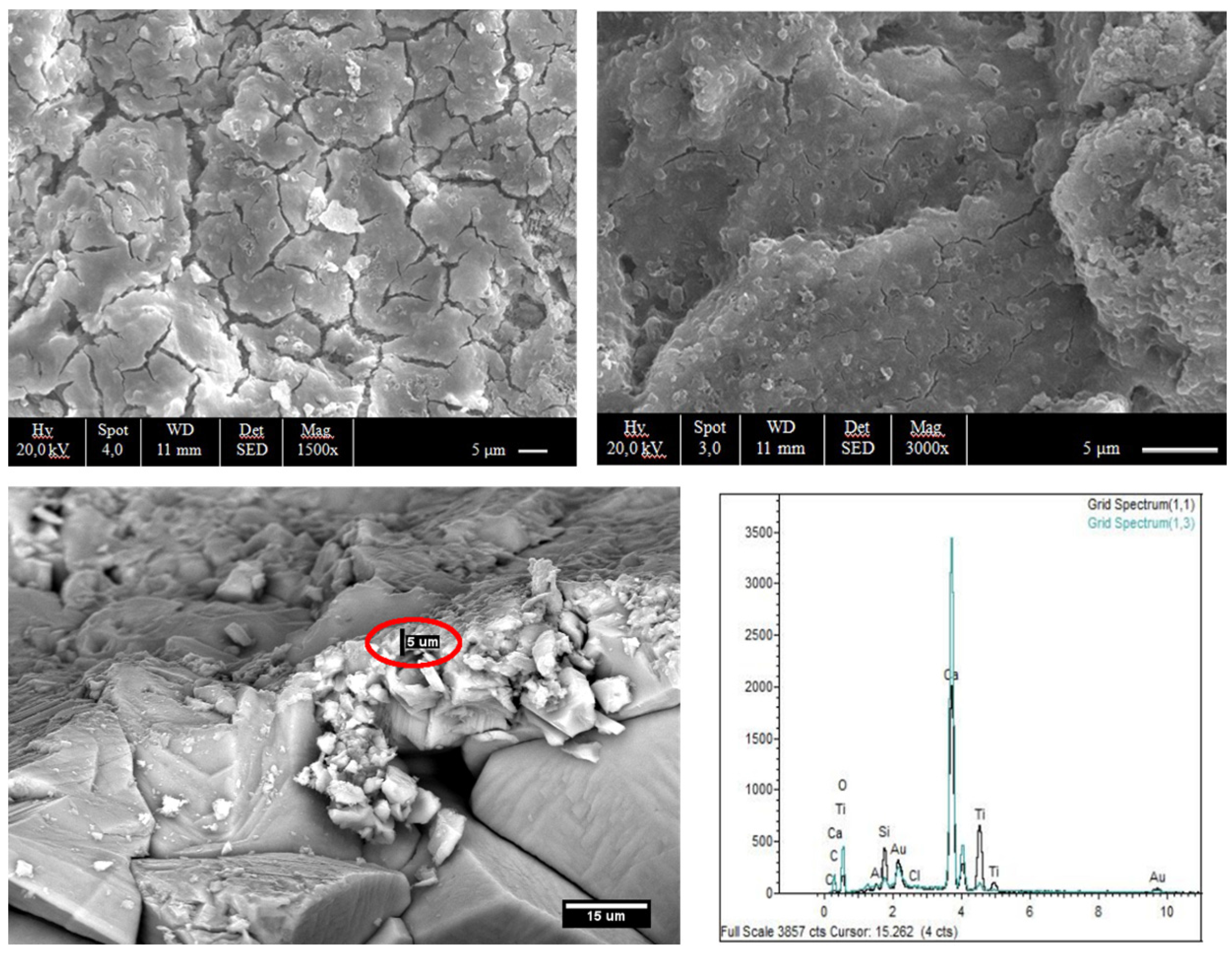 Coatings 05 00222 g002