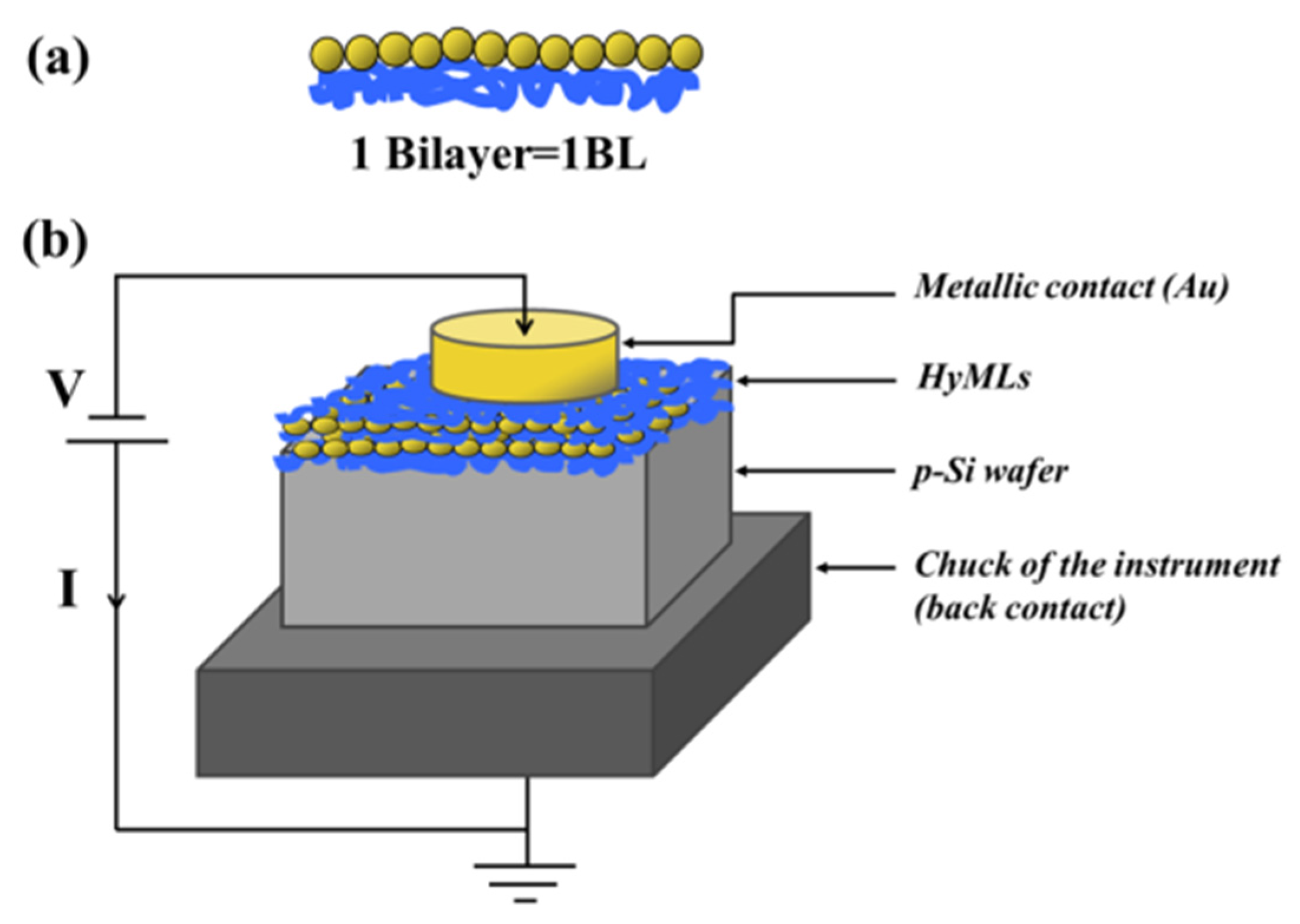METALLOPOLYMER NANOCOMPOSITES EPUB DOWNLOAD METALLOPOLYMER NANOCOMPOSITES EPUB DOWNLOAD