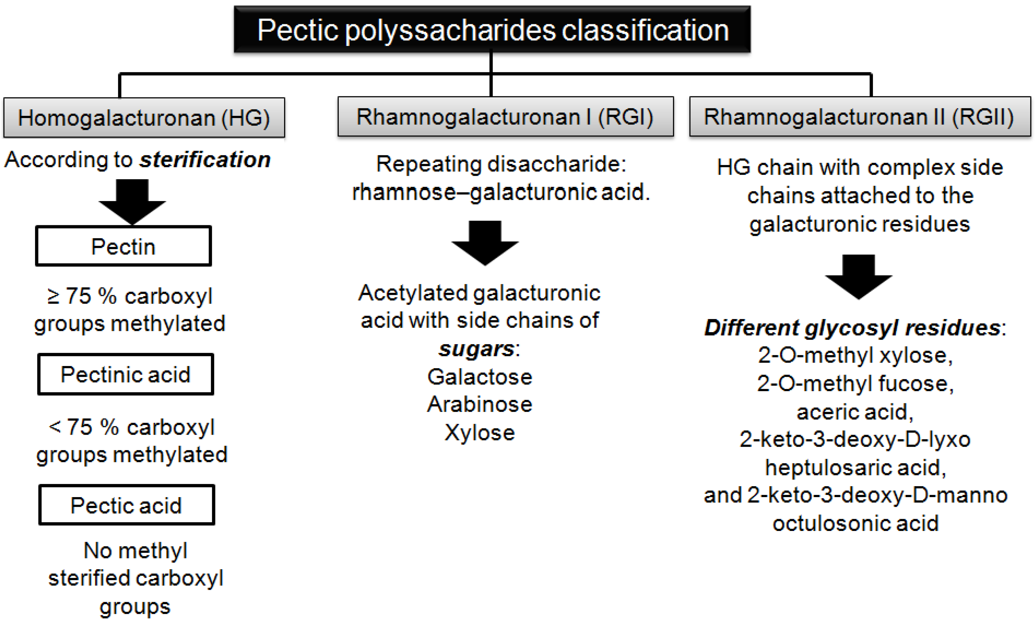 Coatings Free FullText Natural Pectin Polysaccharides as Edible