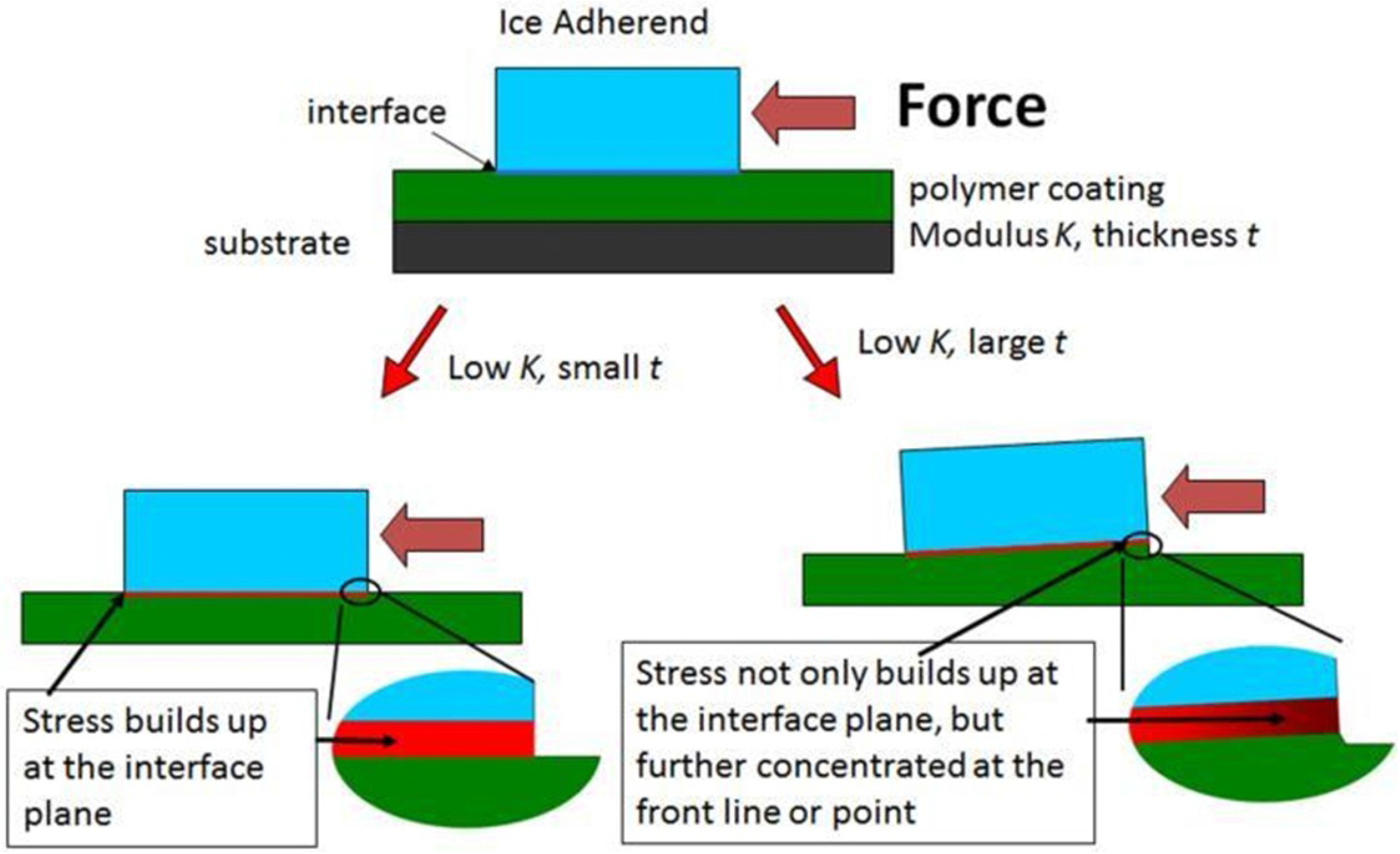 Coatings 06 00003 g008