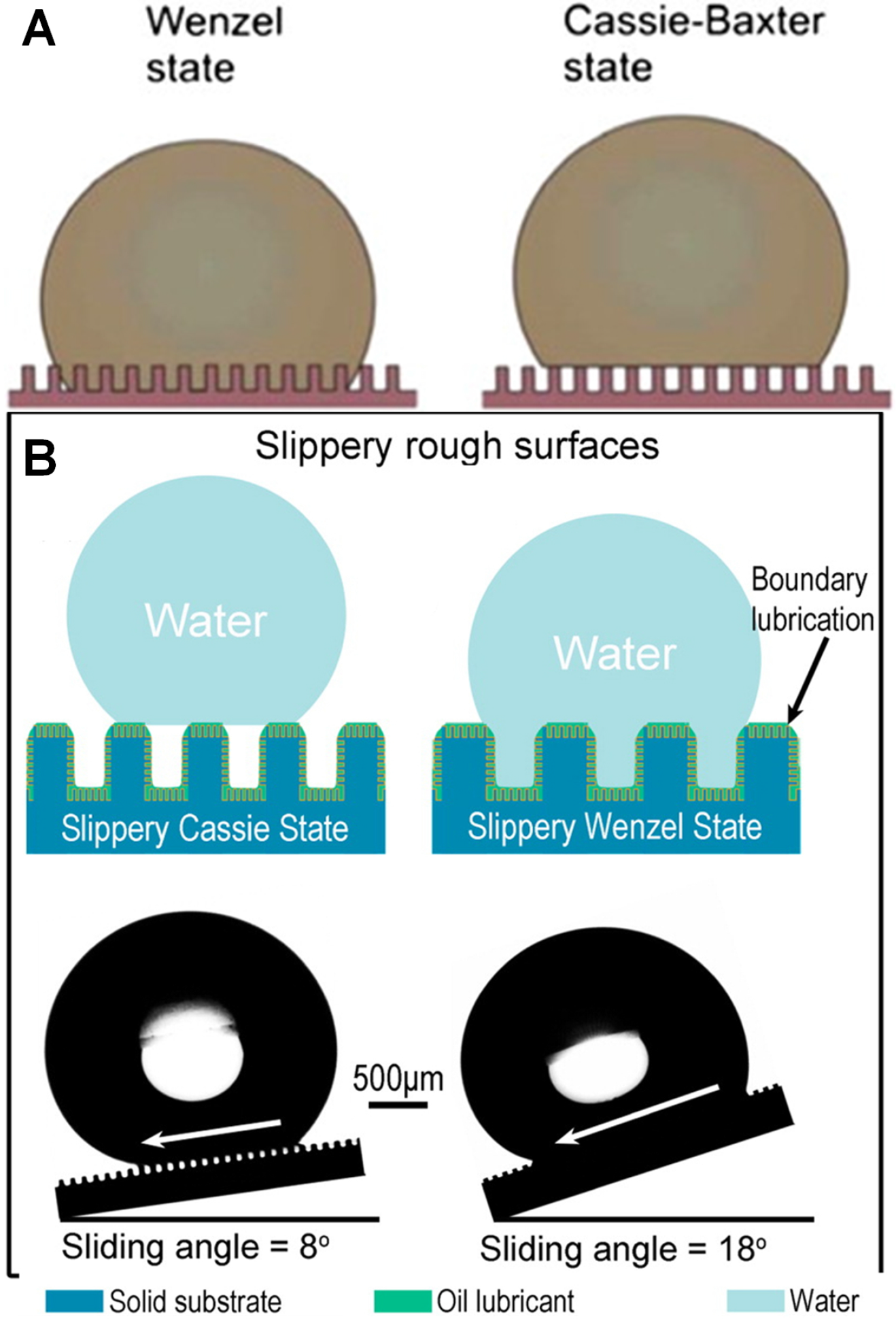 Coatings 06 00003 g009