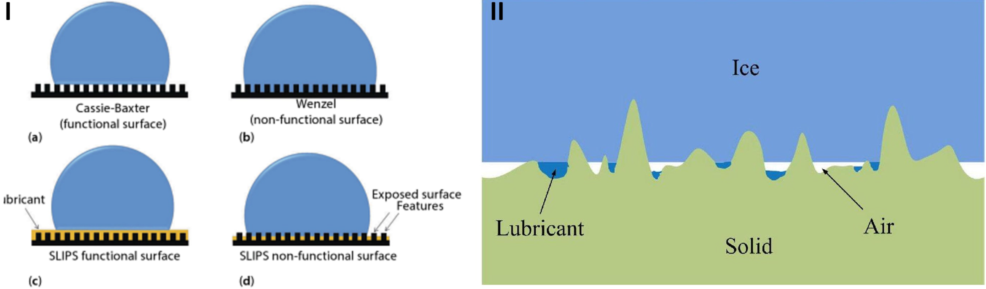 Coatings 06 00003 g013