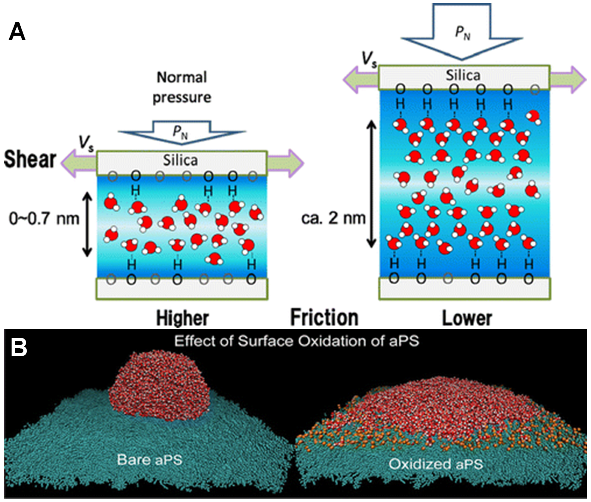 Coatings 06 00003 g016
