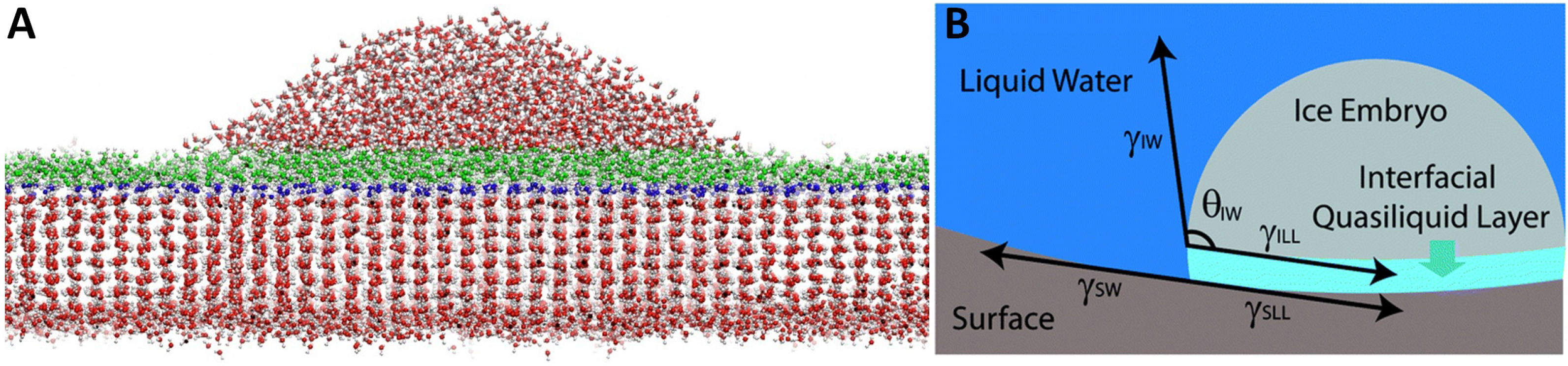 Coatings 06 00003 g017