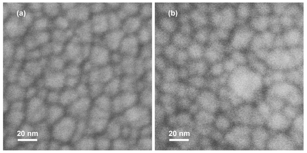Coatings 06 00019 g002 1024