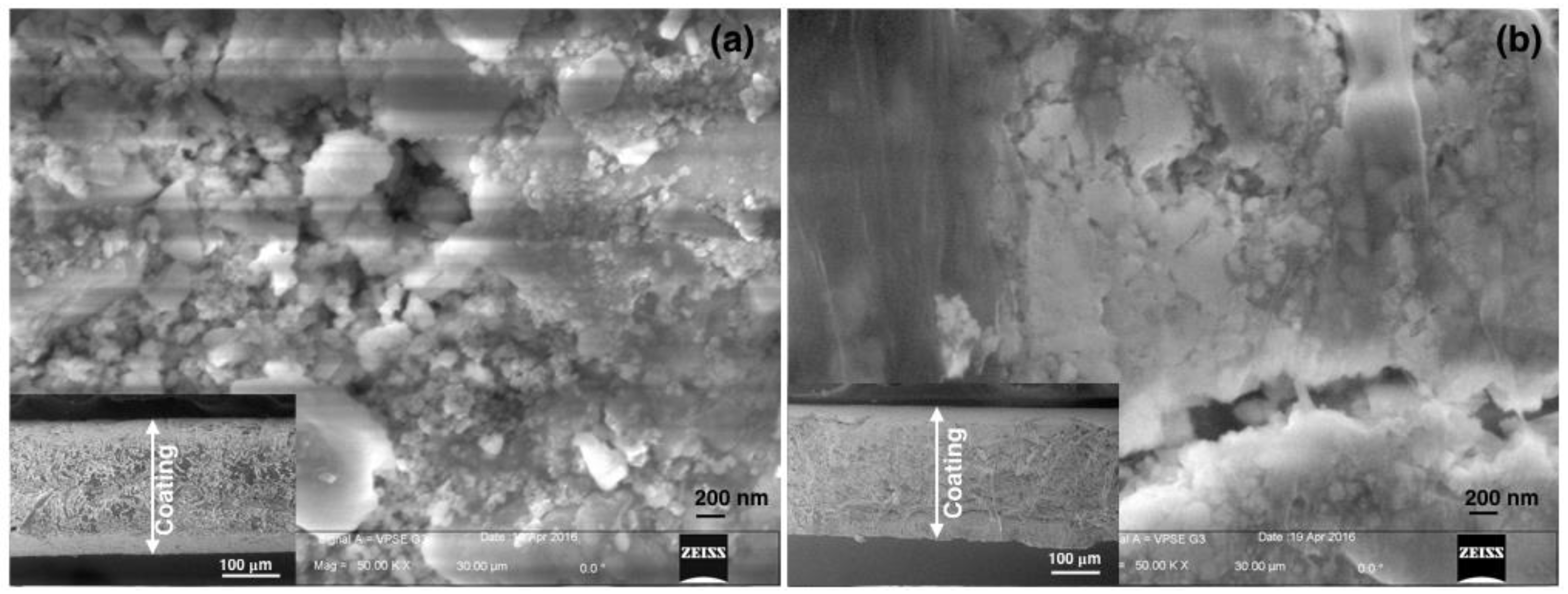 Coatings 06 00048 g002