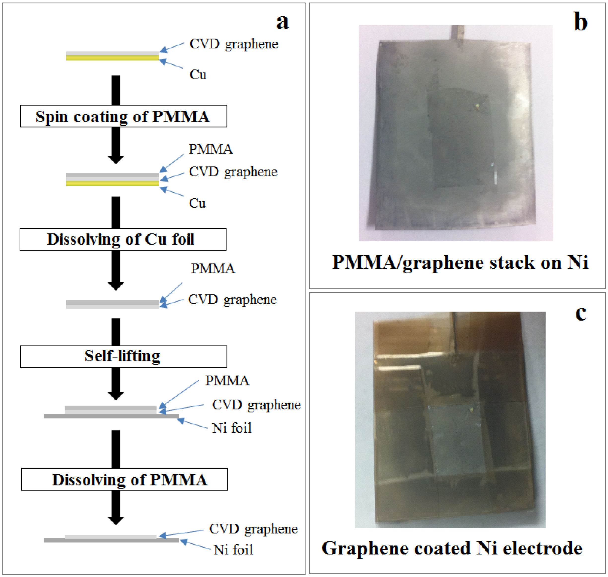 Coatings 07 00072 g001
