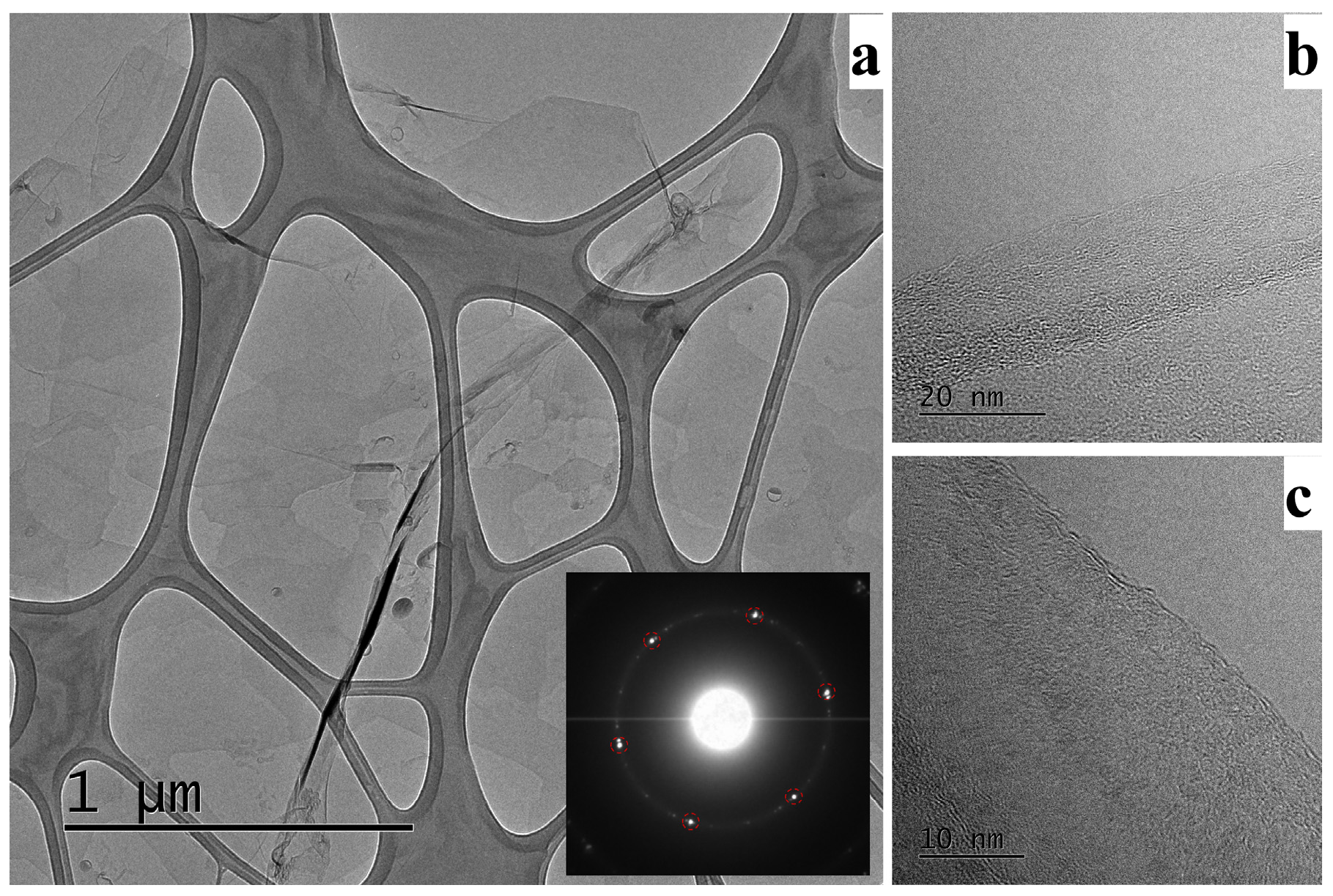 Coatings 07 00072 g004