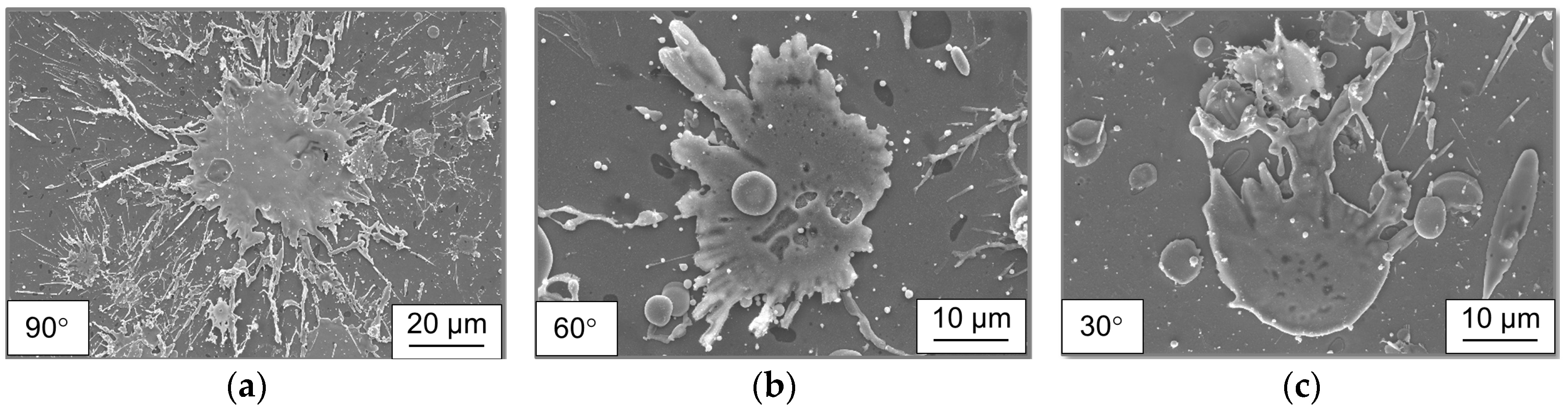 Coatings 07 00125 g005