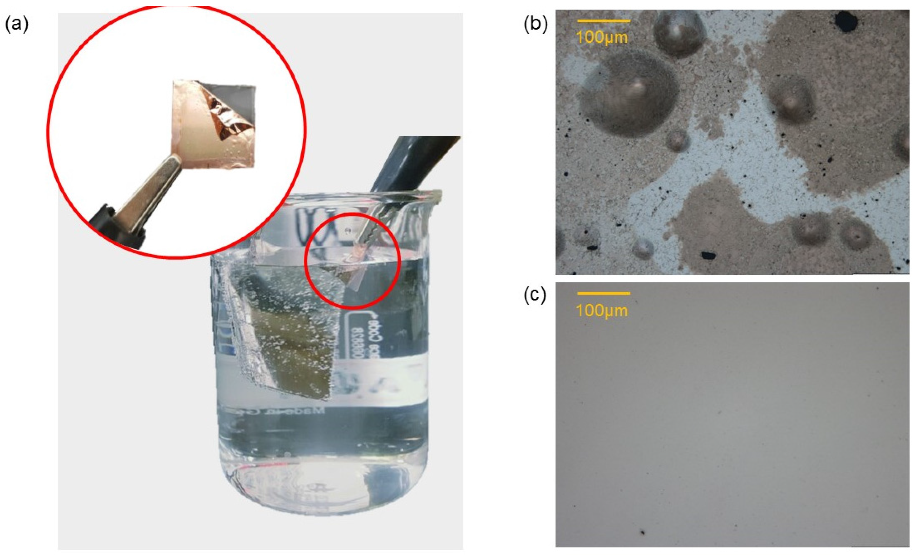 Coatings 07 00218 g003