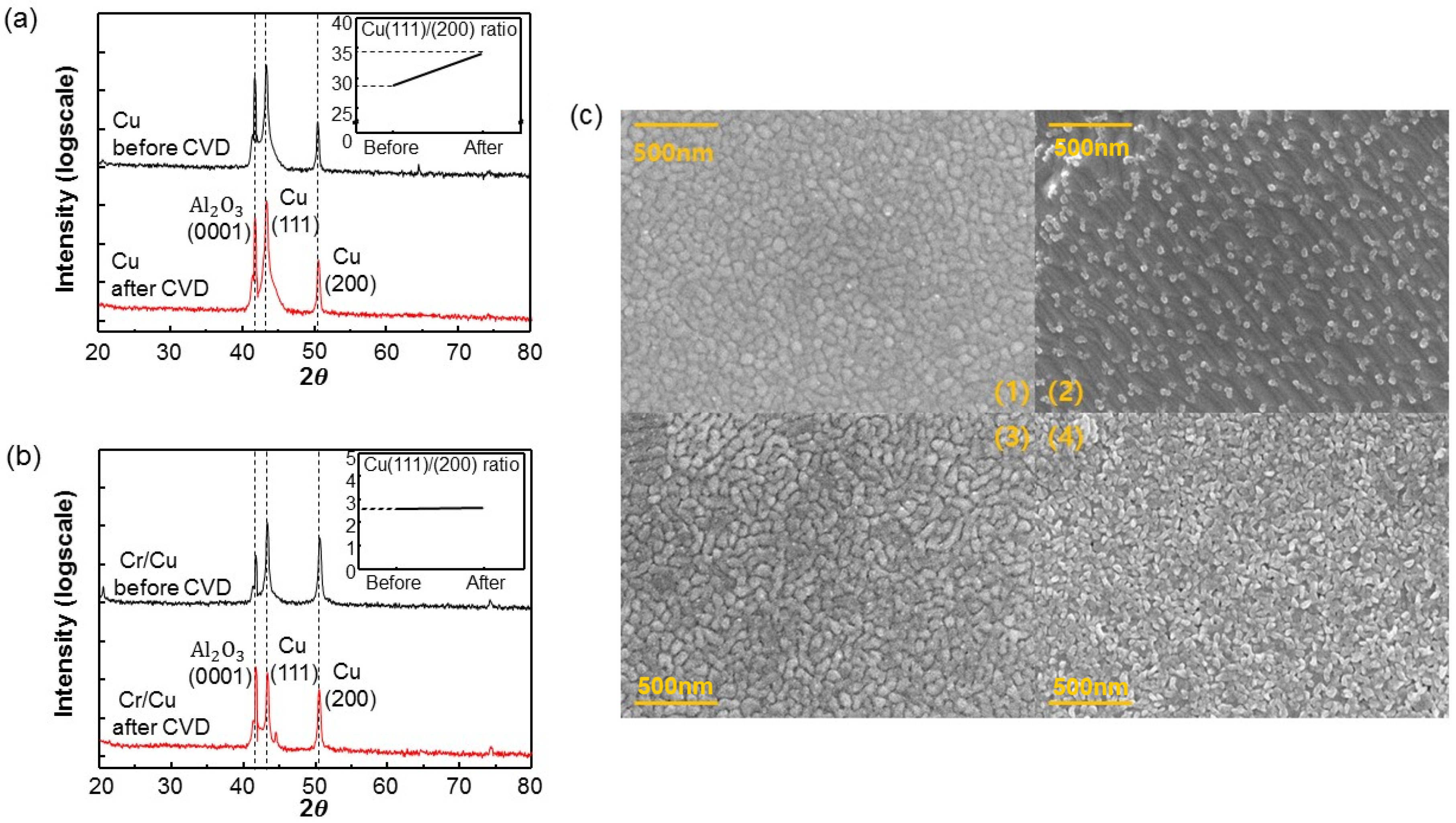 Coatings 07 00218 g004