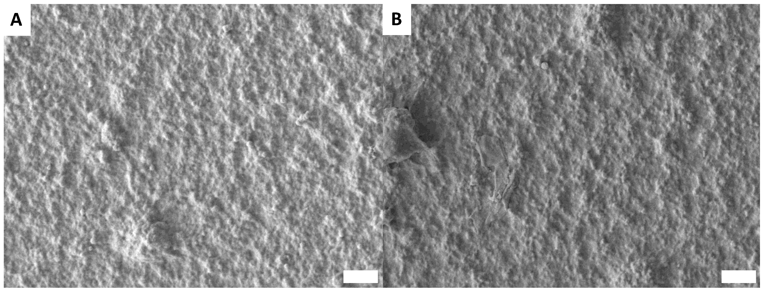 download laser interaction