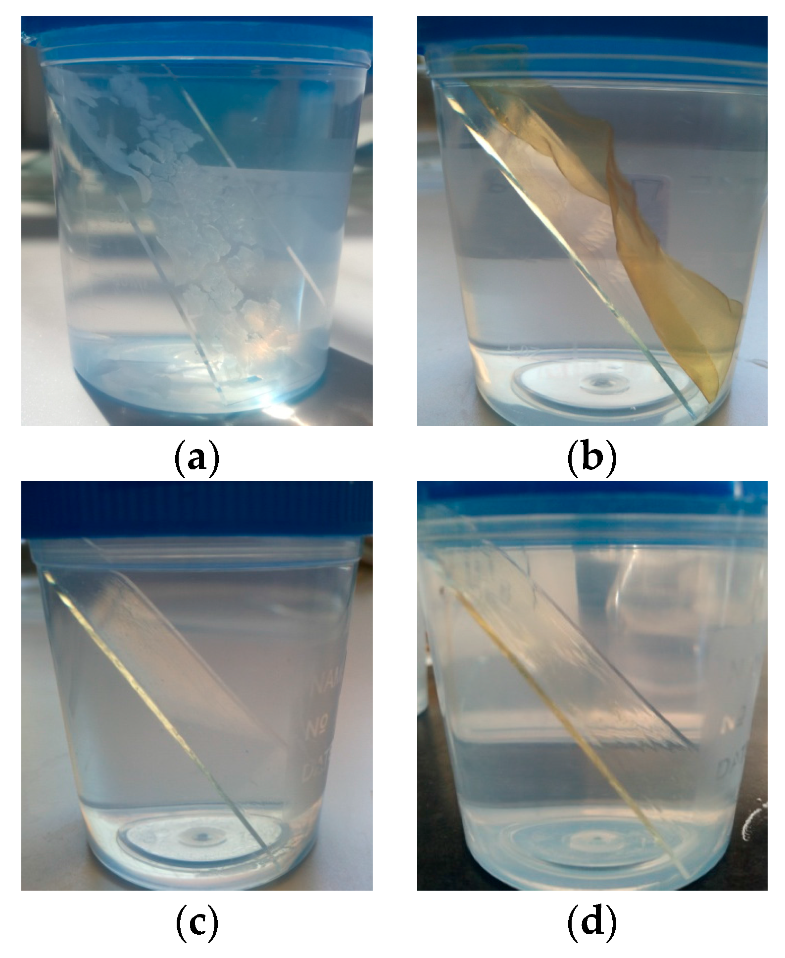 Coatings 08 00008 g002
