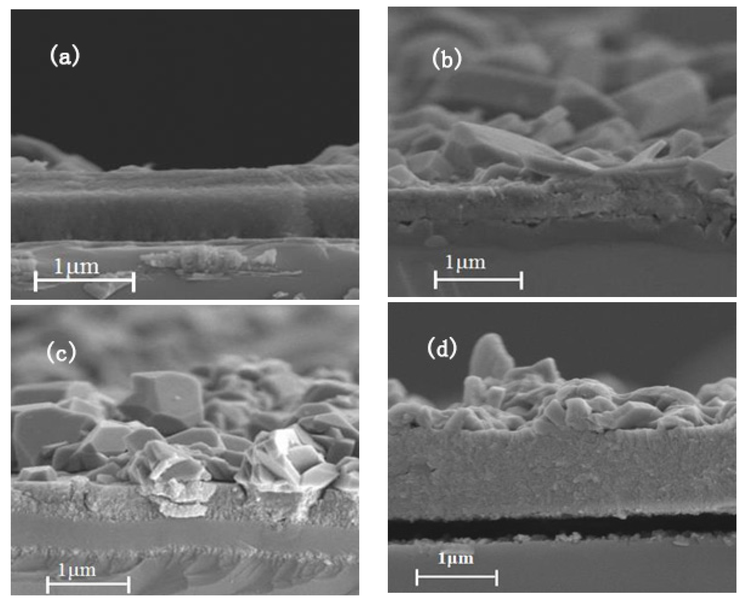 Coatings 08 00019 g007