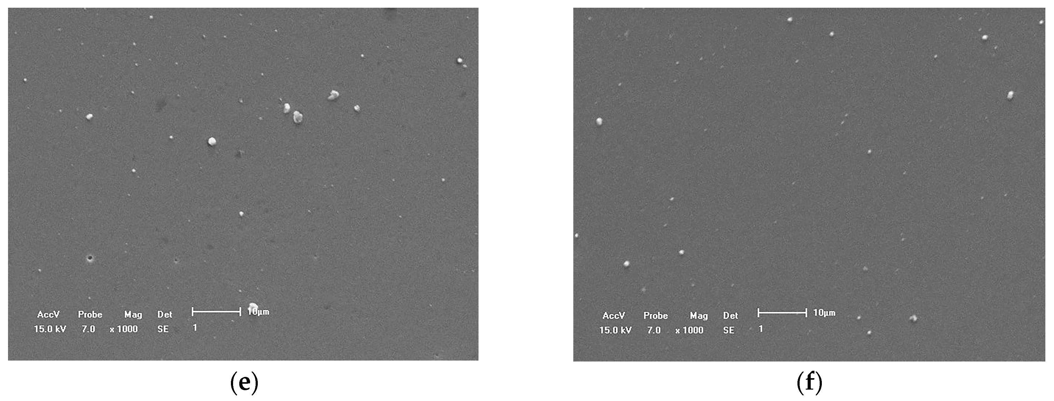Coatings 08 00049 g003b