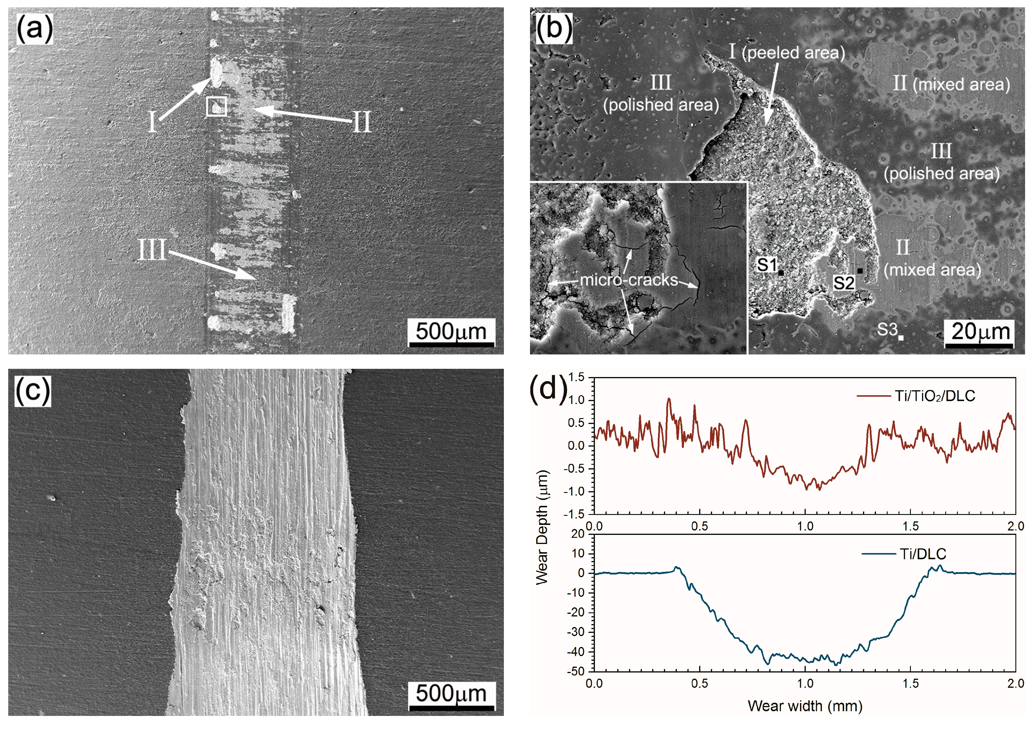 Coatings 08 00083 g006