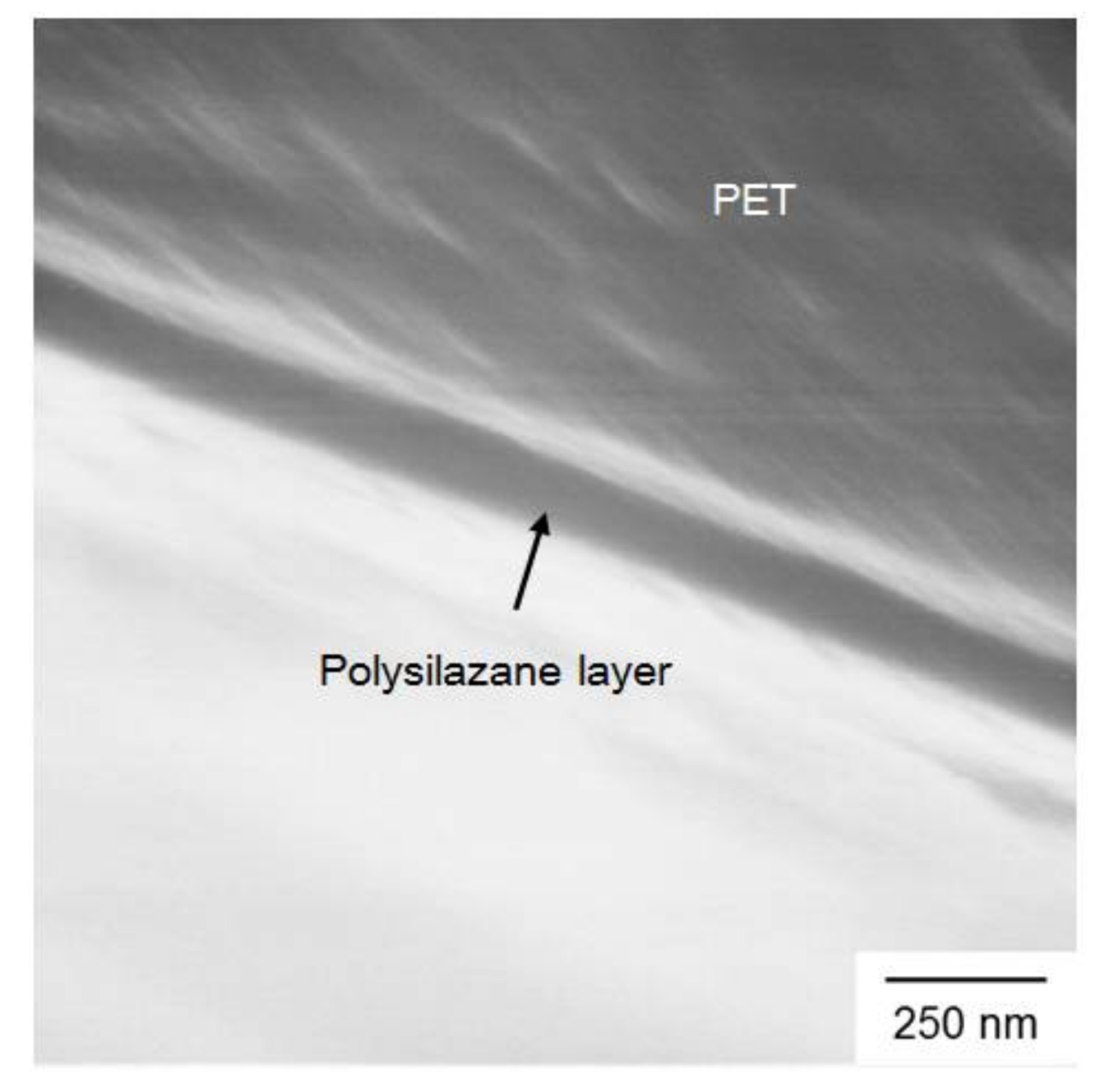 Coatings 08 00127 g001