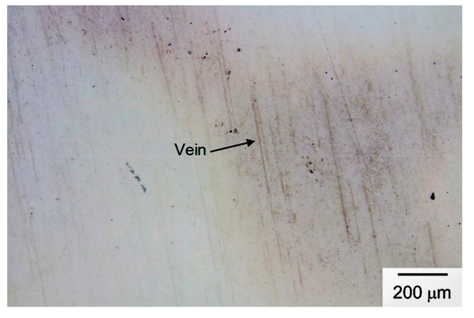 Coatings 08 00127 g008