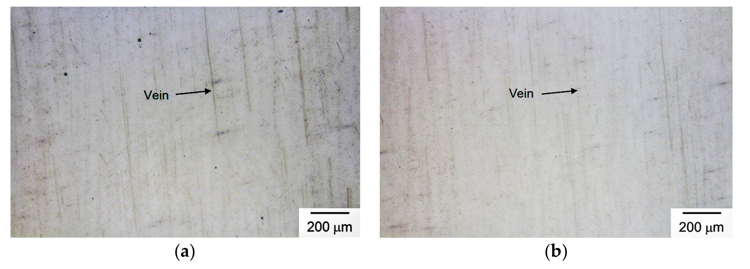 Coatings 08 00127 g010