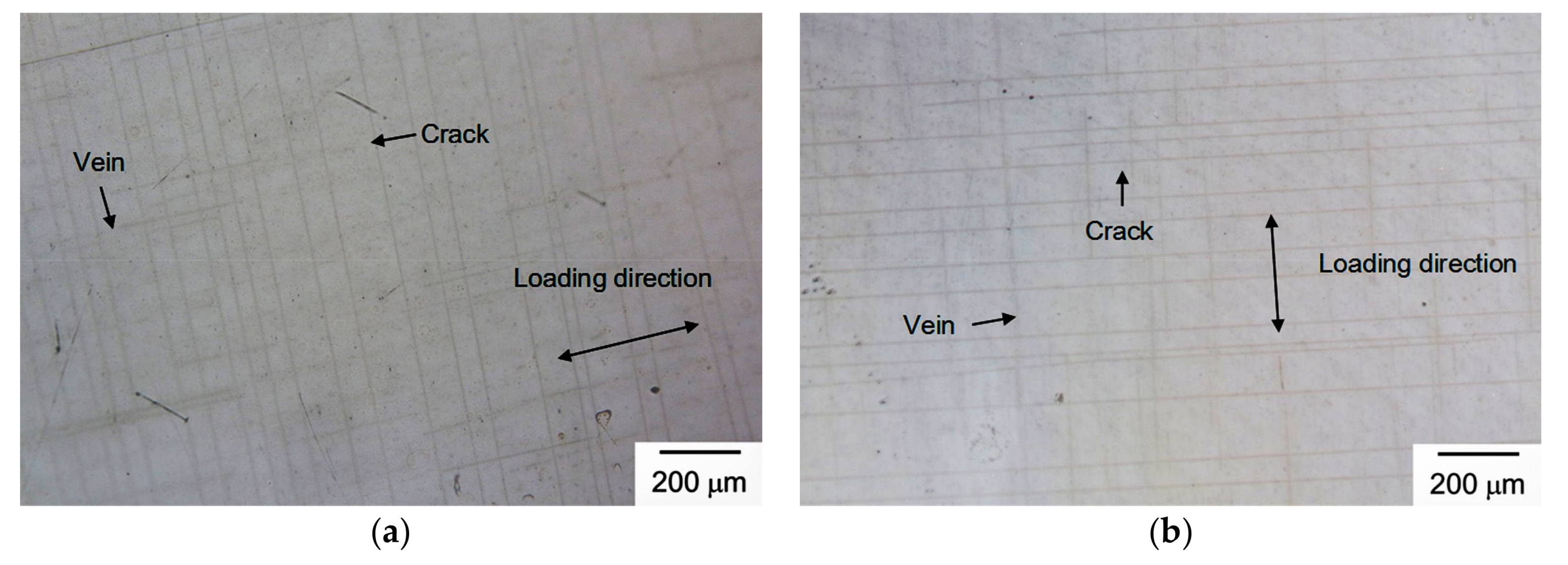 Coatings 08 00127 g011