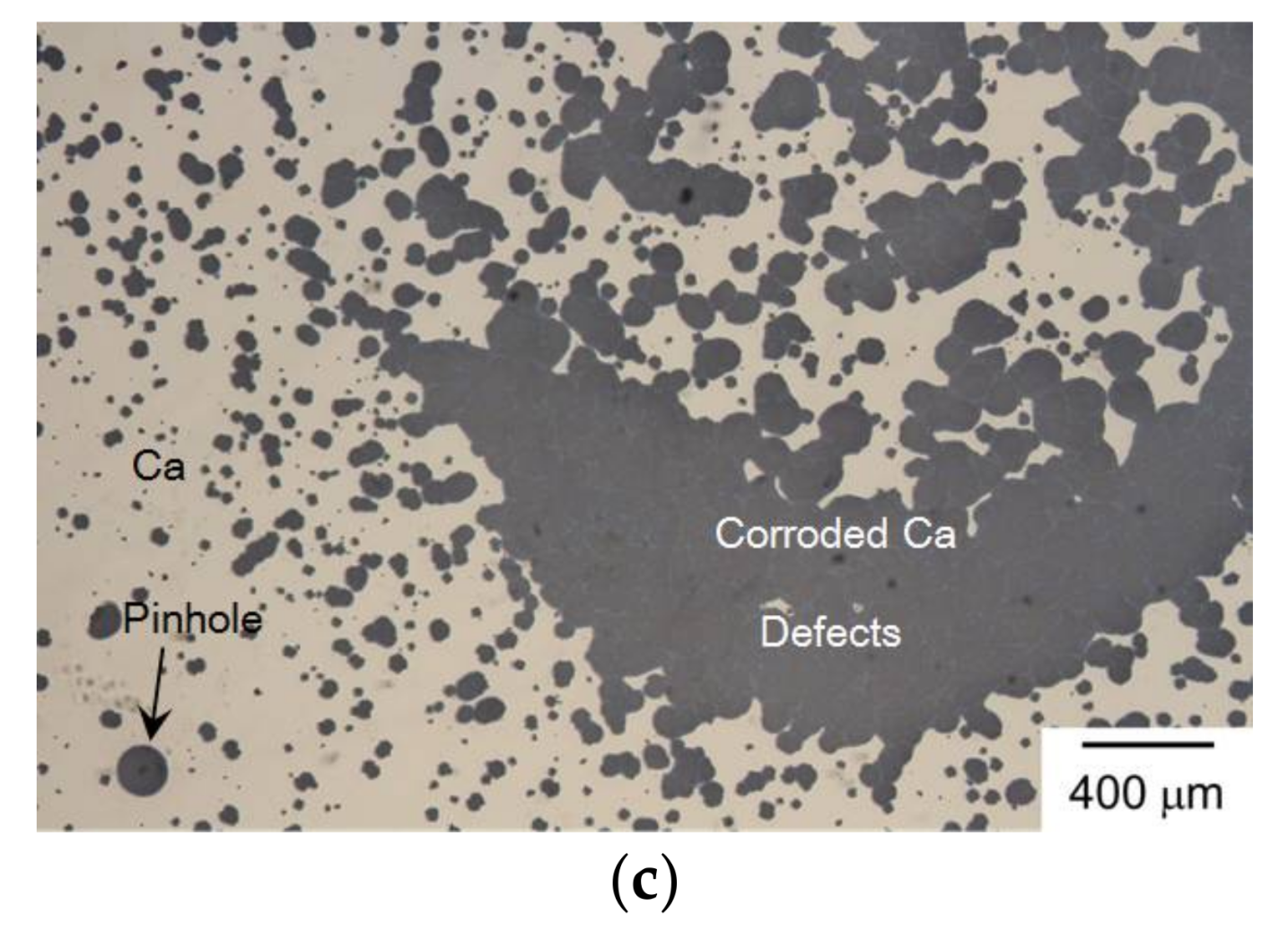 Coatings 08 00127 g012b