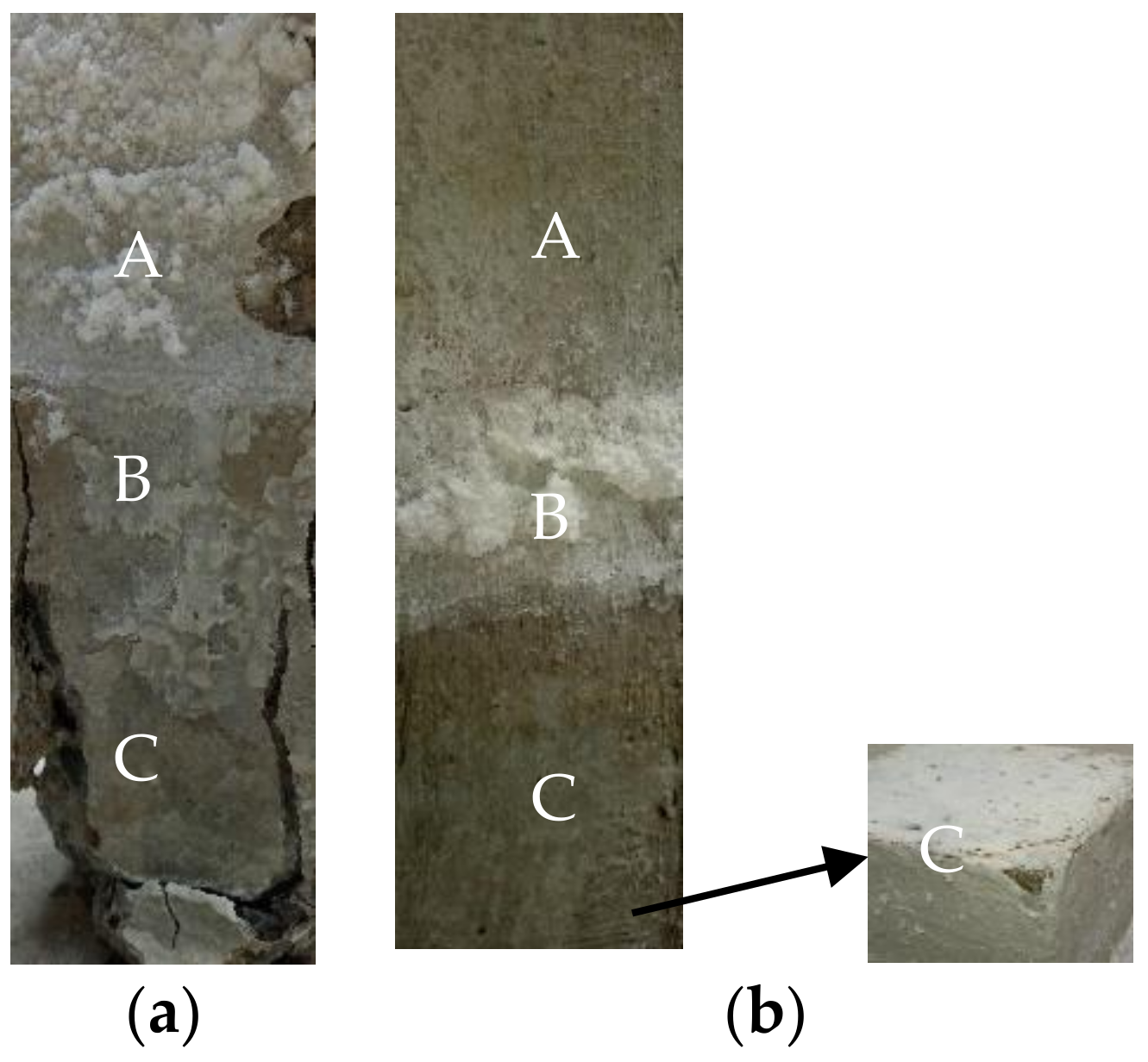 Coatings Free FullText Microstructure Evolution of a Magnesium
