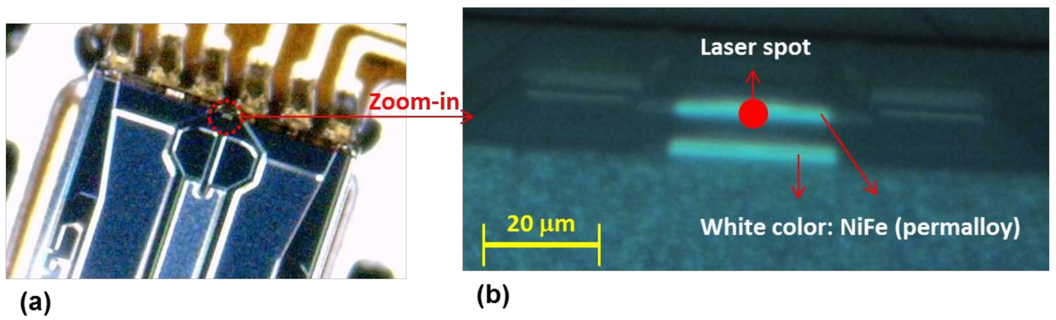 Coatings 08 00143 g002