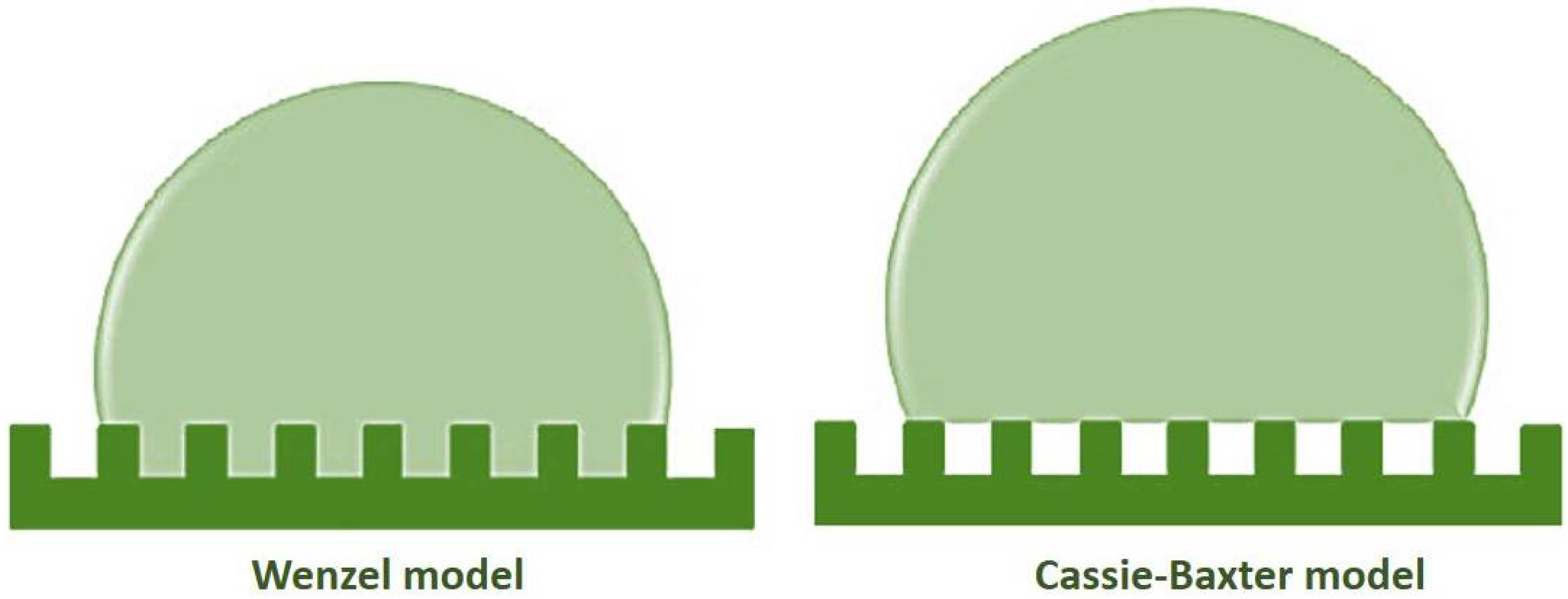 Coatings 08 00162 g001