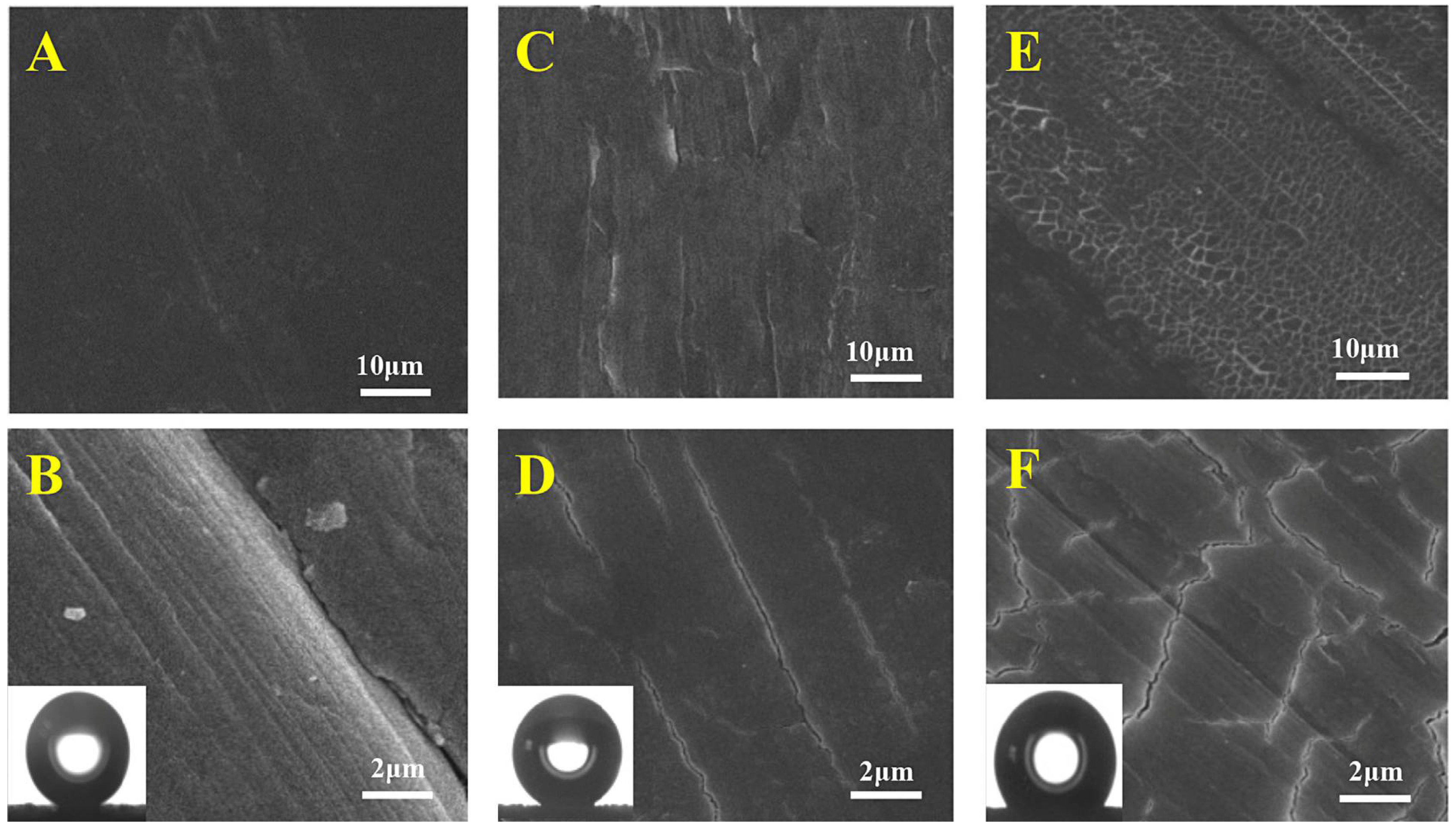 Coatings 08 00162 g003