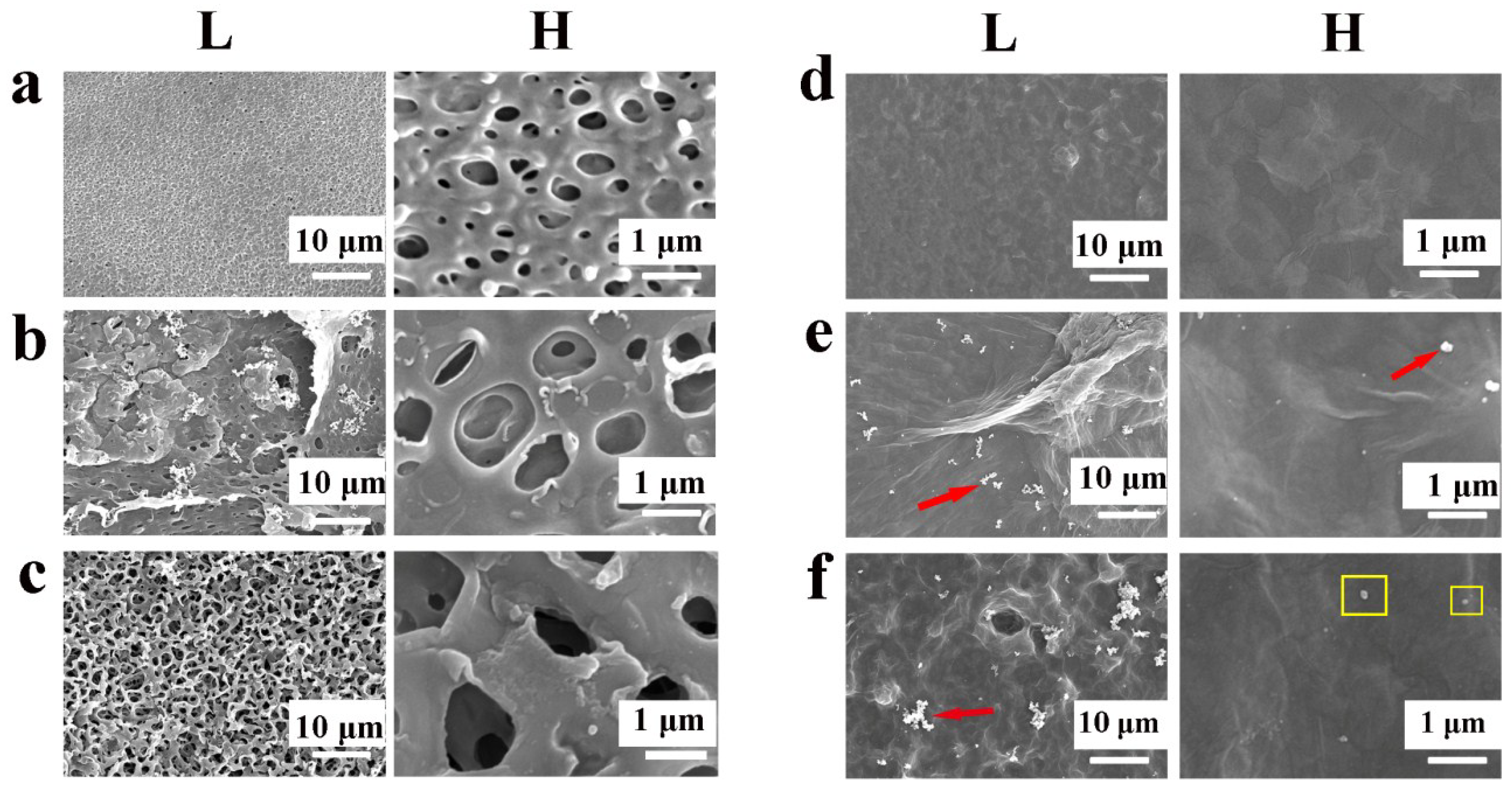 Coatings 08 00203 g002