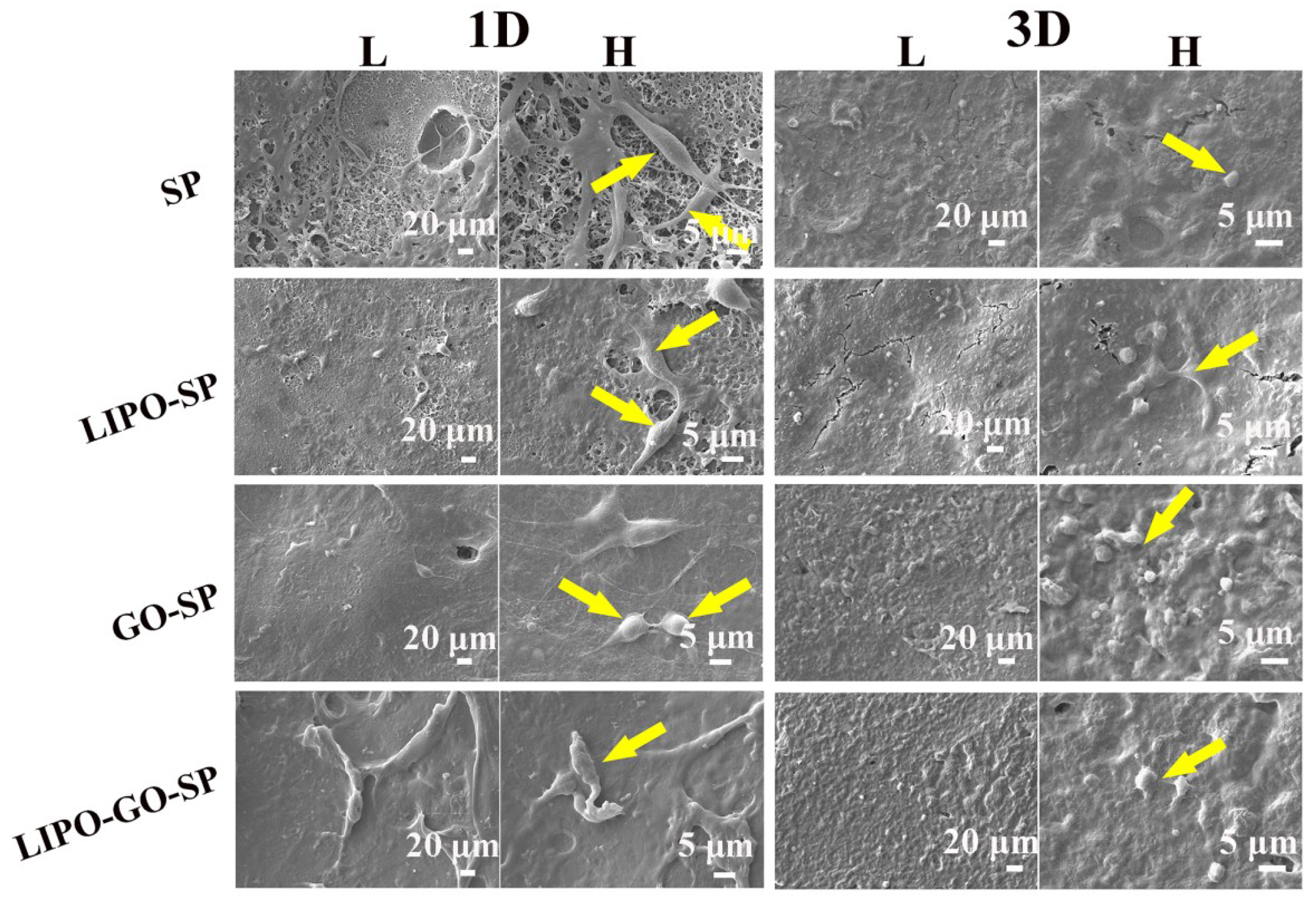 Coatings 08 00203 g006