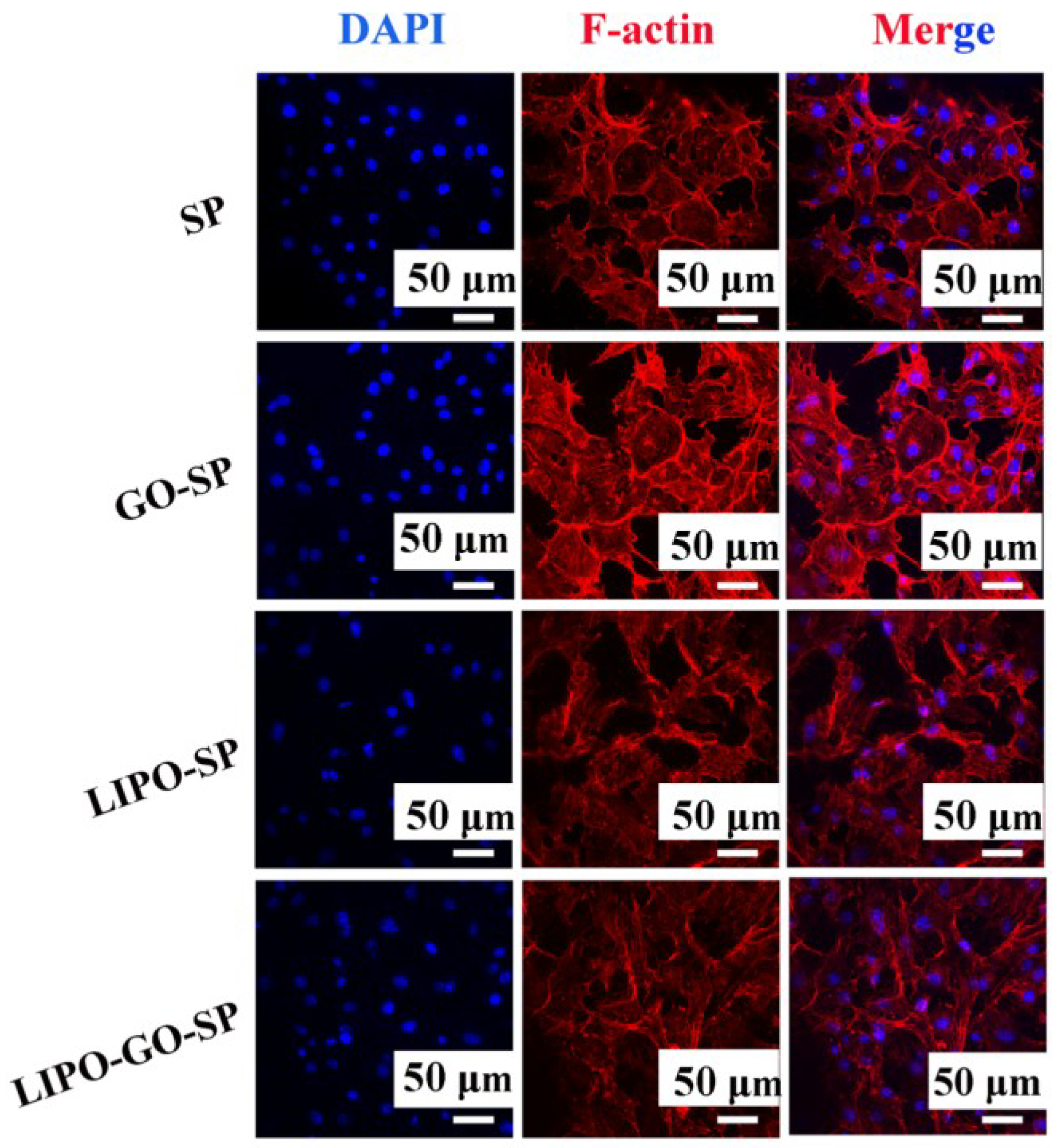 Coatings 08 00203 g007