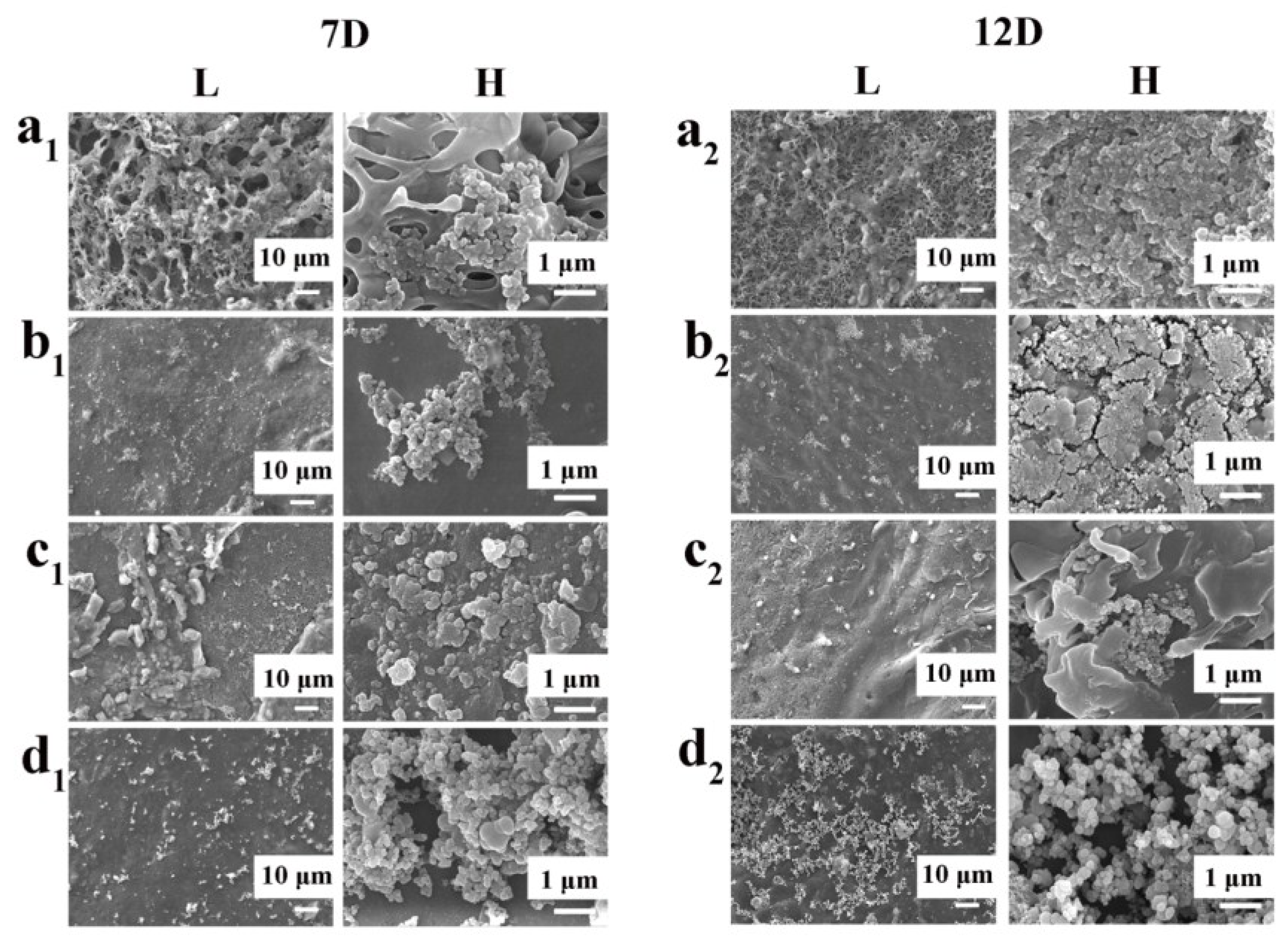 Coatings 08 00203 g008