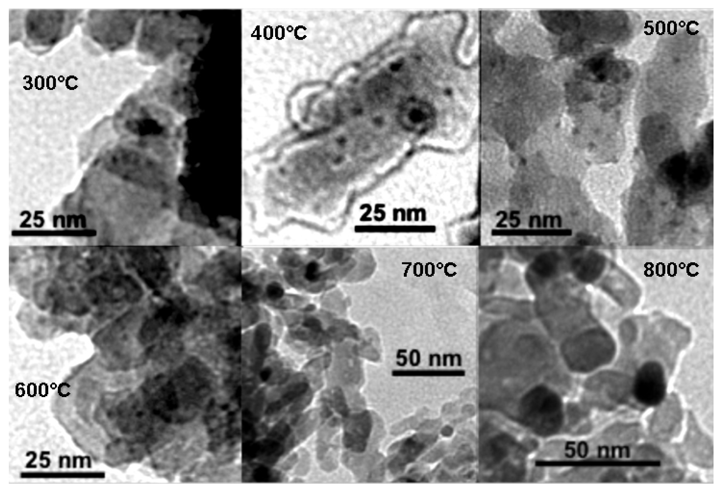Coatings 08 00217 g008
