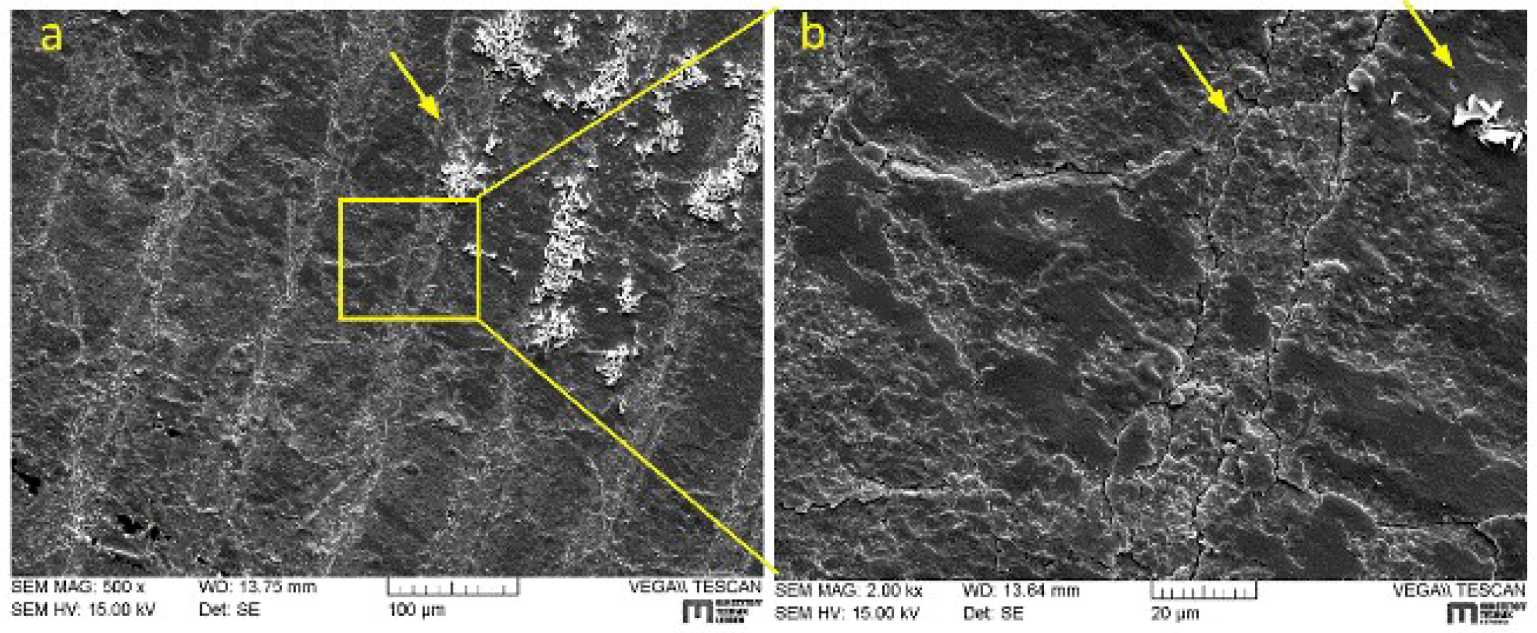 Coatings 08 00267 g009a