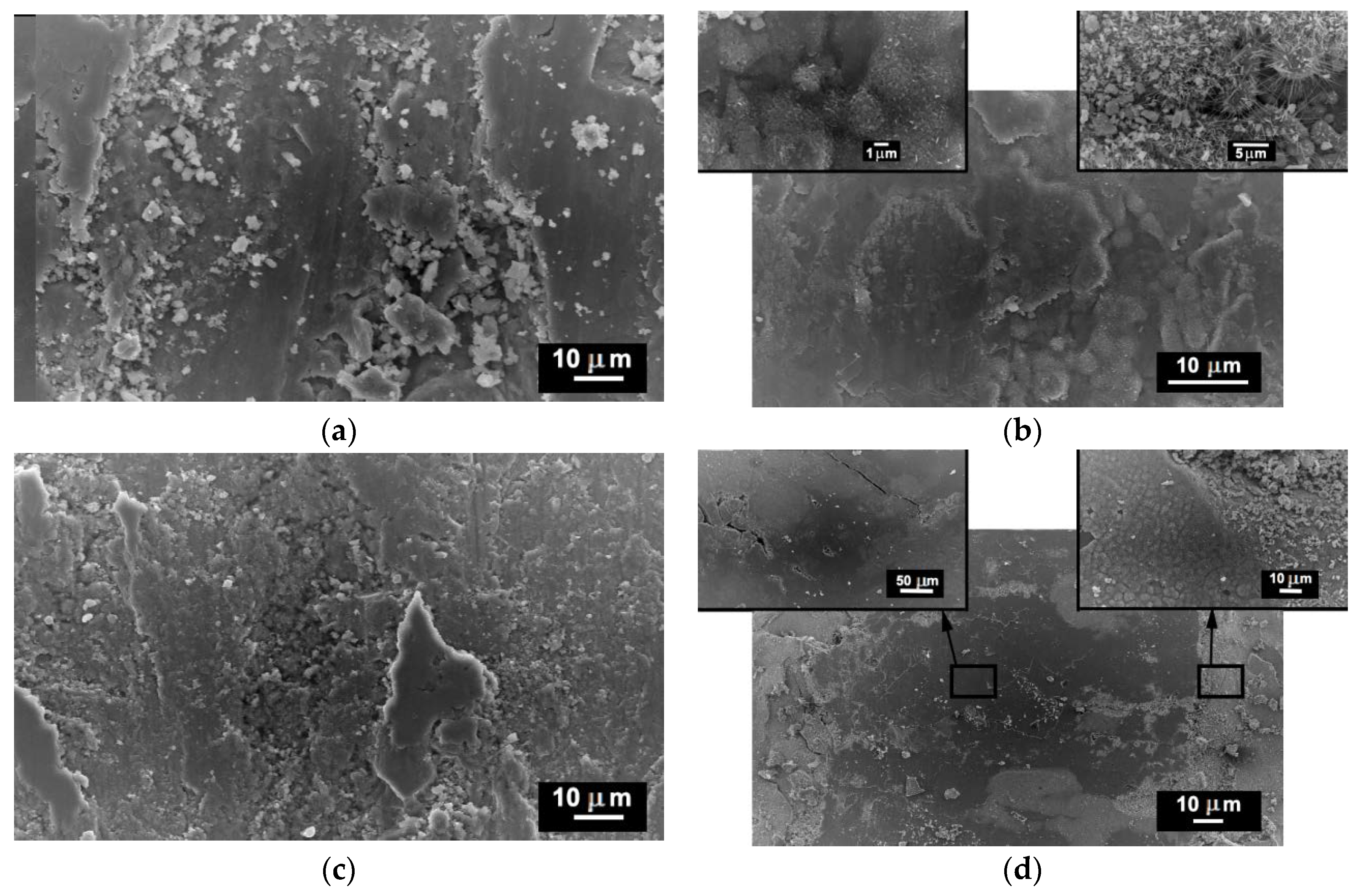 Coatings 08 00268 g009