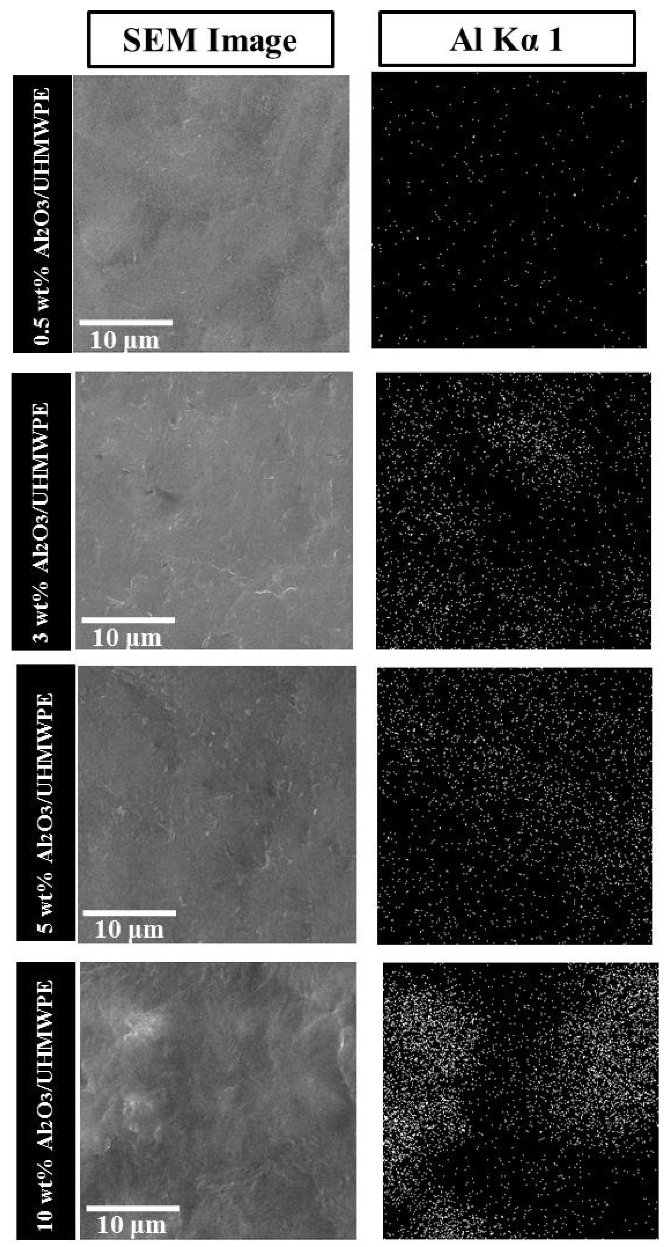 Coatings 08 00280 g004