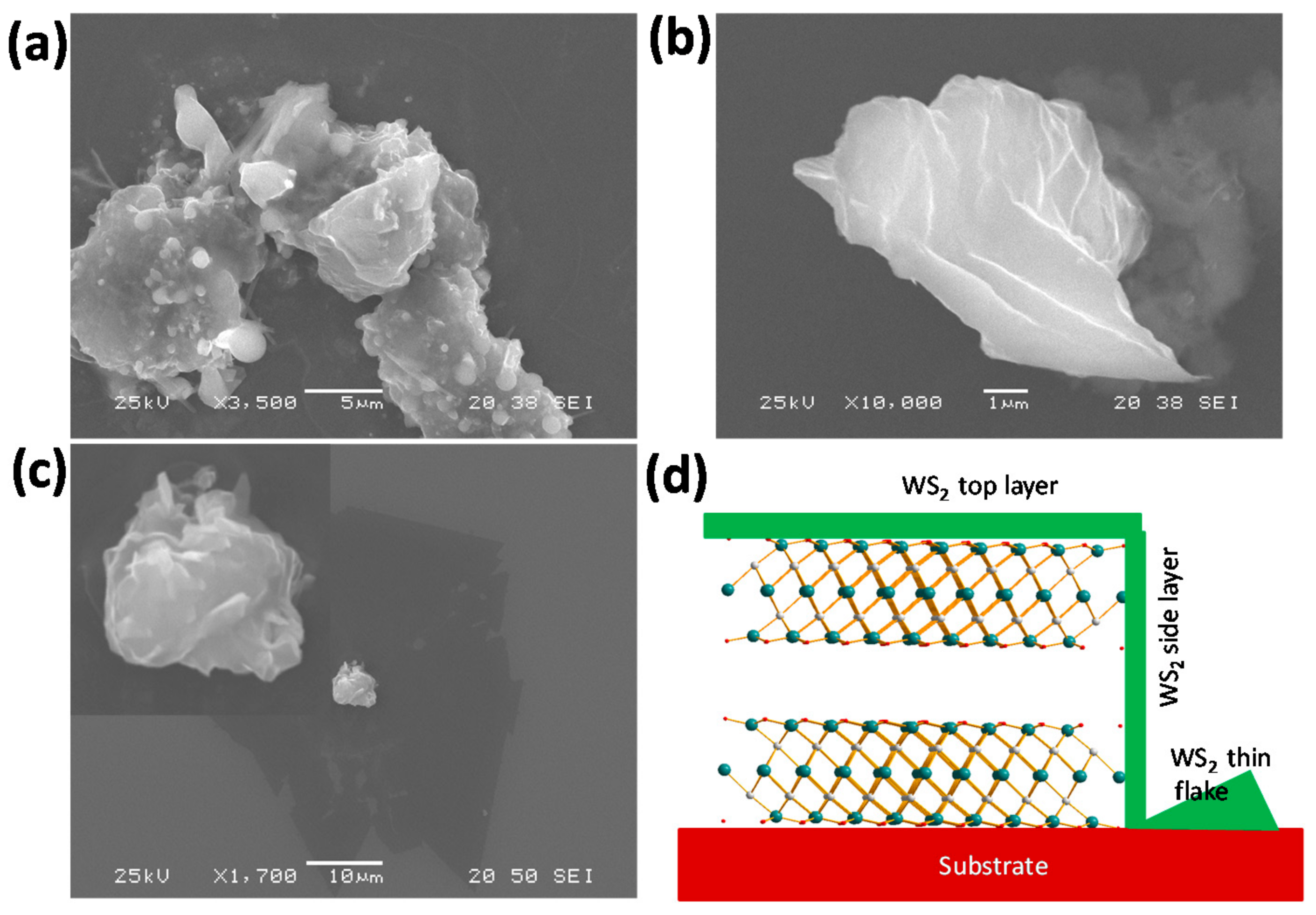 Coatings 08 00281 g002