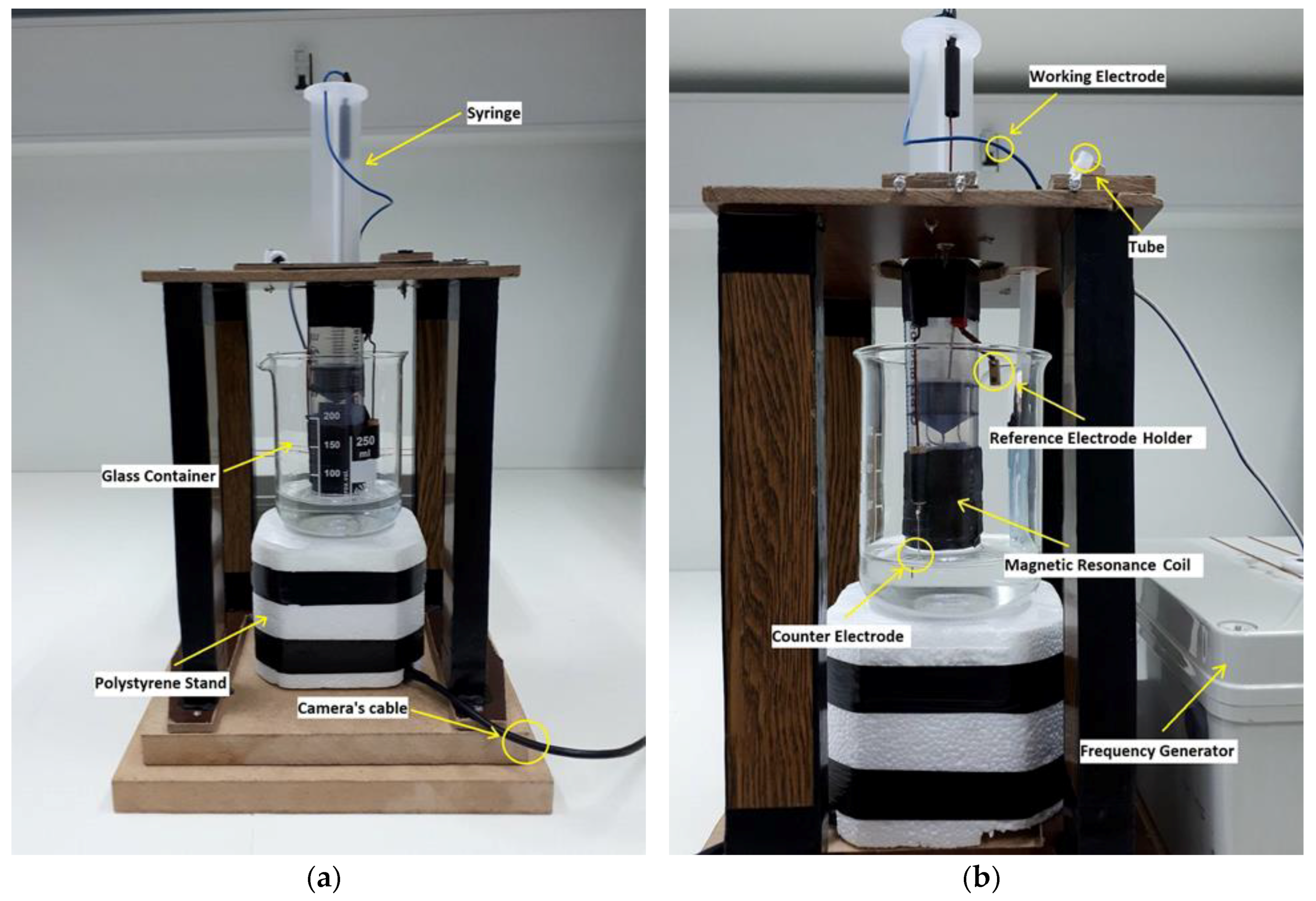 Coatings 08 00284 g001