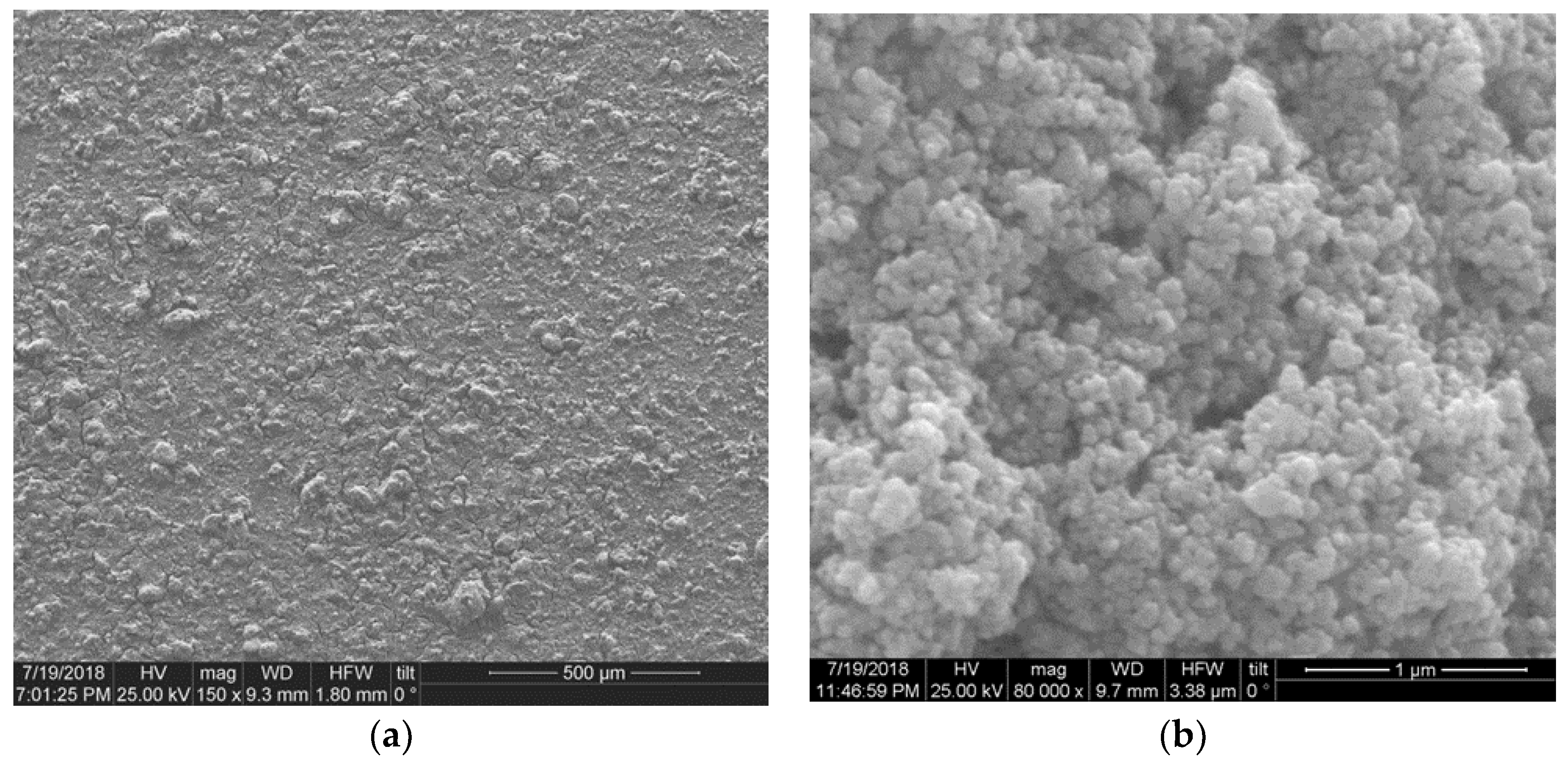 Coatings 08 00284 g006a