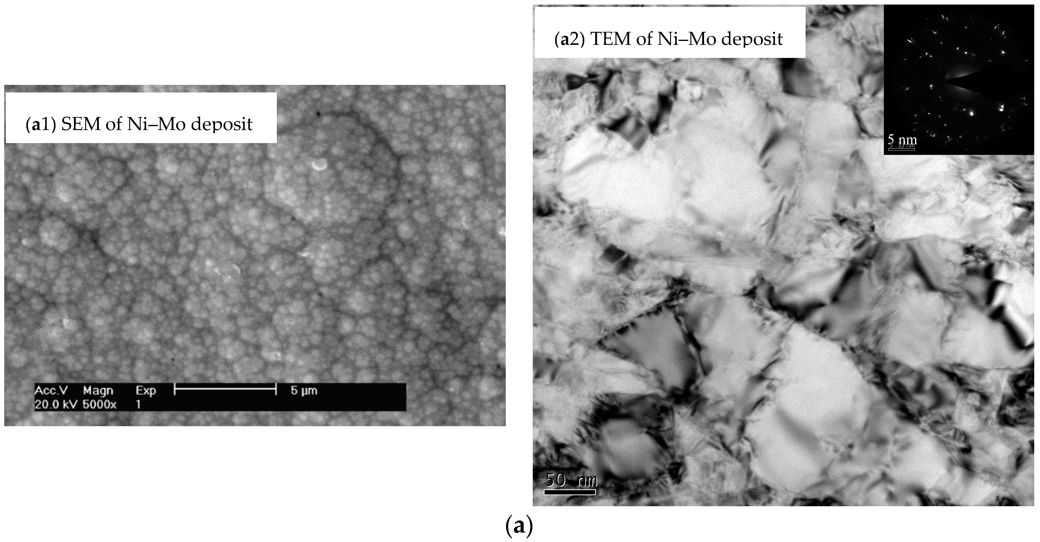 Coatings 08 00299 g002a